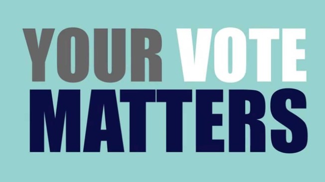 This is a lie. Your vote does not matter. 